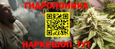 spice Краснознаменск