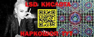 spice Краснознаменск