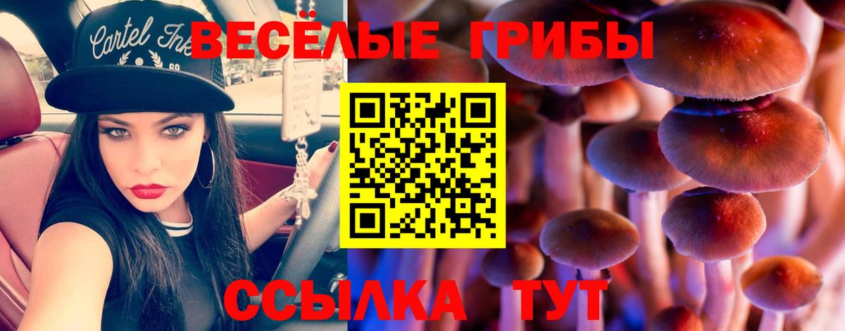 Где продают наркотики?  Бошки Шишки  Кудрово  КОКАИН  Гашиш  Мефедрон кристаллы  Вход с VPN 
