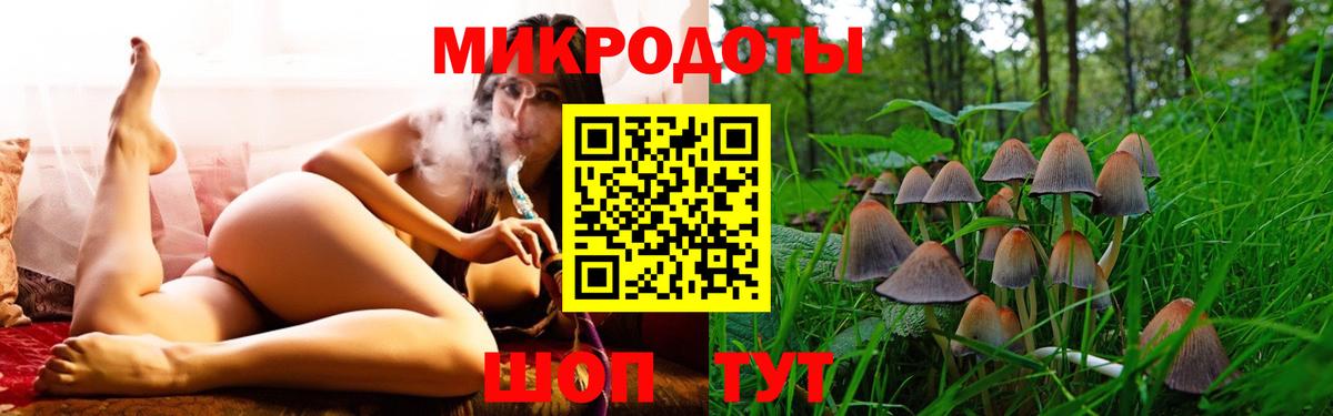 Псилоцибиновые грибы Magic Shrooms Кудрово