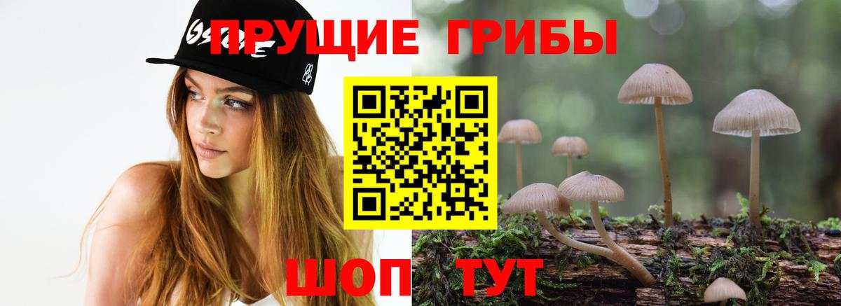 цены   Псилоцибиновые грибы Magic Shrooms  Вход с VPN  Кудрово 